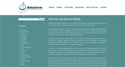 Desktop Screenshot of amservegroup.com