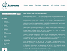 Tablet Screenshot of amservegroup.com